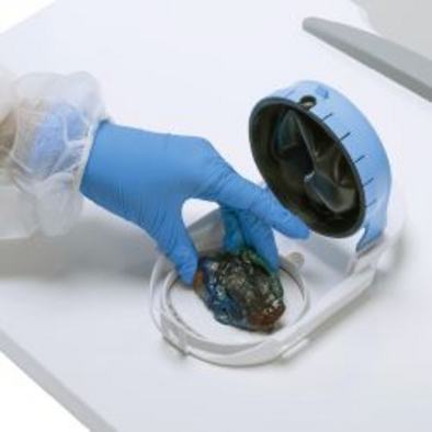 Anwendung ClearCoast™, Schritt 1 Bild zur ClearCoast™ Anwendung: Hand legt Gewebeprobe in den Gewebecontainer